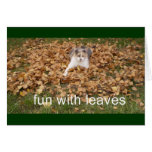 fun with leaves greeting cards