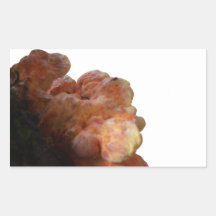 Fungal Accent #1, left-accent Rectangular Sticker