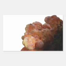 Fungal Accent #1, right-accent Rectangular Stickers