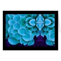 fungi4-card