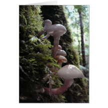 Fungi cluster greeting cards
