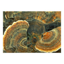 Fungus detail custom invitation