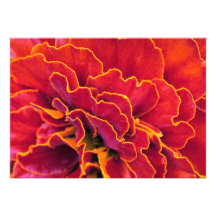 Fungus detail personalized invitation