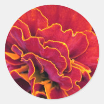 Fungus detail stickers