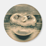 Fungus head refrigerator magnets