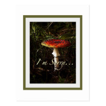 Fungus Postcards