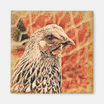 Funky Baby Chicken Silver Laced Wyandotte Pullet Refrigerator Magnets