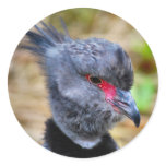 Funky Bird Stickers