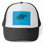 Funky Fish Cap hats