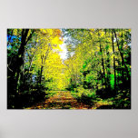 Funky Forest Posters