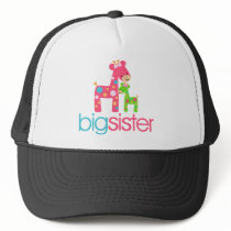 Funky Giraffe Big Sister Tshirt