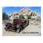 Funky Joshua Tree Postcard!