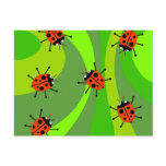 Funky Ladybugs Post Card