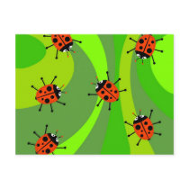 Funky Ladybugs Post Card