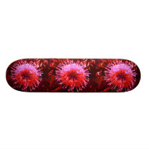 Funky Thing Skateboard