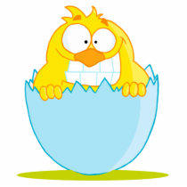 funny baby chick hatching from egg acrylic cut outs