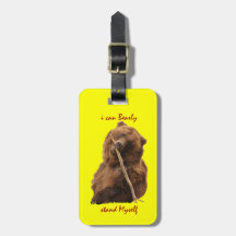 Funny Bear