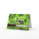 Funny Bird Birthday Card
