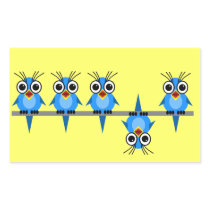 funny birds