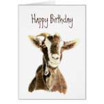 Funny Birthday, From the Old Goat who Loves YOU Cards