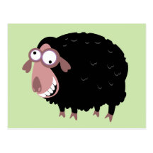 Funny Black Sheep Postcard