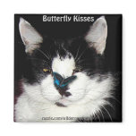 Funny Black & White CAT and BUTTERFLY magnets