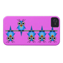funny blue birds