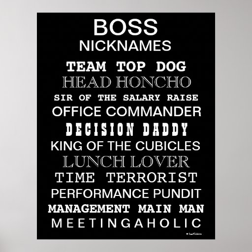 Funny Boss Nicknames and Job Titles Office Poster