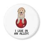 Funny Bowling Shirts and Novelty Gifts magnets