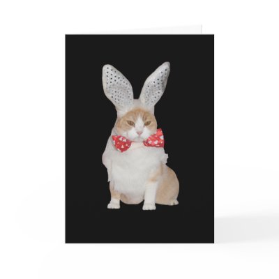 Funny Bunny Cat Valentine Greeting Card