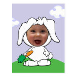 Funny Bunny Rabbit Photo Face Template Post Cards