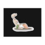 funny bunny rabbit picking carrot post cards