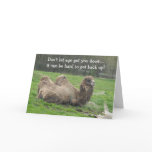 Funny Camel Birthday