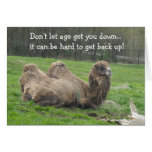 Funny Camel Birthday Greeting Cards