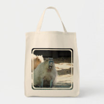 Funny Capybara  Grocery Tote Canvas Bags