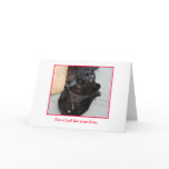 Funny card, blank inside.