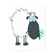 funny cartoon sheep with flower postcard