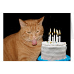 Funny cat birthday card