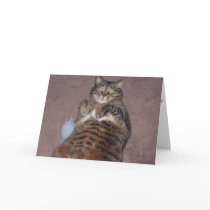 Funny Cat Birthday Card (Large Print)