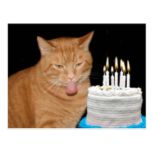 Funny cat birthday post cards