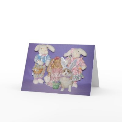Funny Cat Bunny Cards