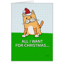 Funny Cat Christmas Card