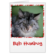 Funny Cat Christmas greeting card