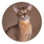 funny_cat_facial_expression_13 sticker