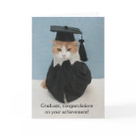 Funny Cat Graduation cards