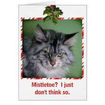 Funny Cat Mistletoe Christmas greeting card