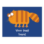Funny Cat Post Card