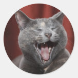 Funny cat stickers