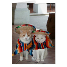 Funny Cat Spanish Birthday for husband or wife Card