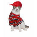 Funny Cat t-shirts